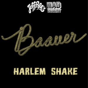 Pochette du single Harlem Shake de Baauer