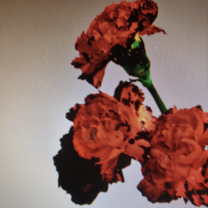 Pochette du single Made To Love de John Legend
